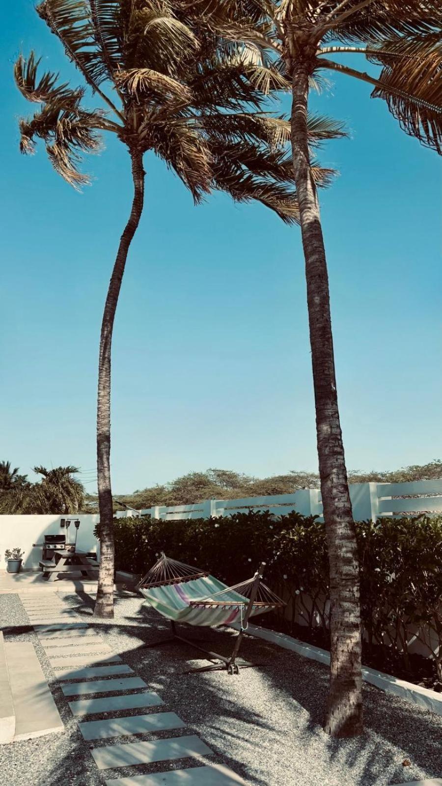 Movida Inn Aruba Palm Beach Exterior foto